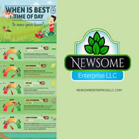 Newsome Enterprise LLC